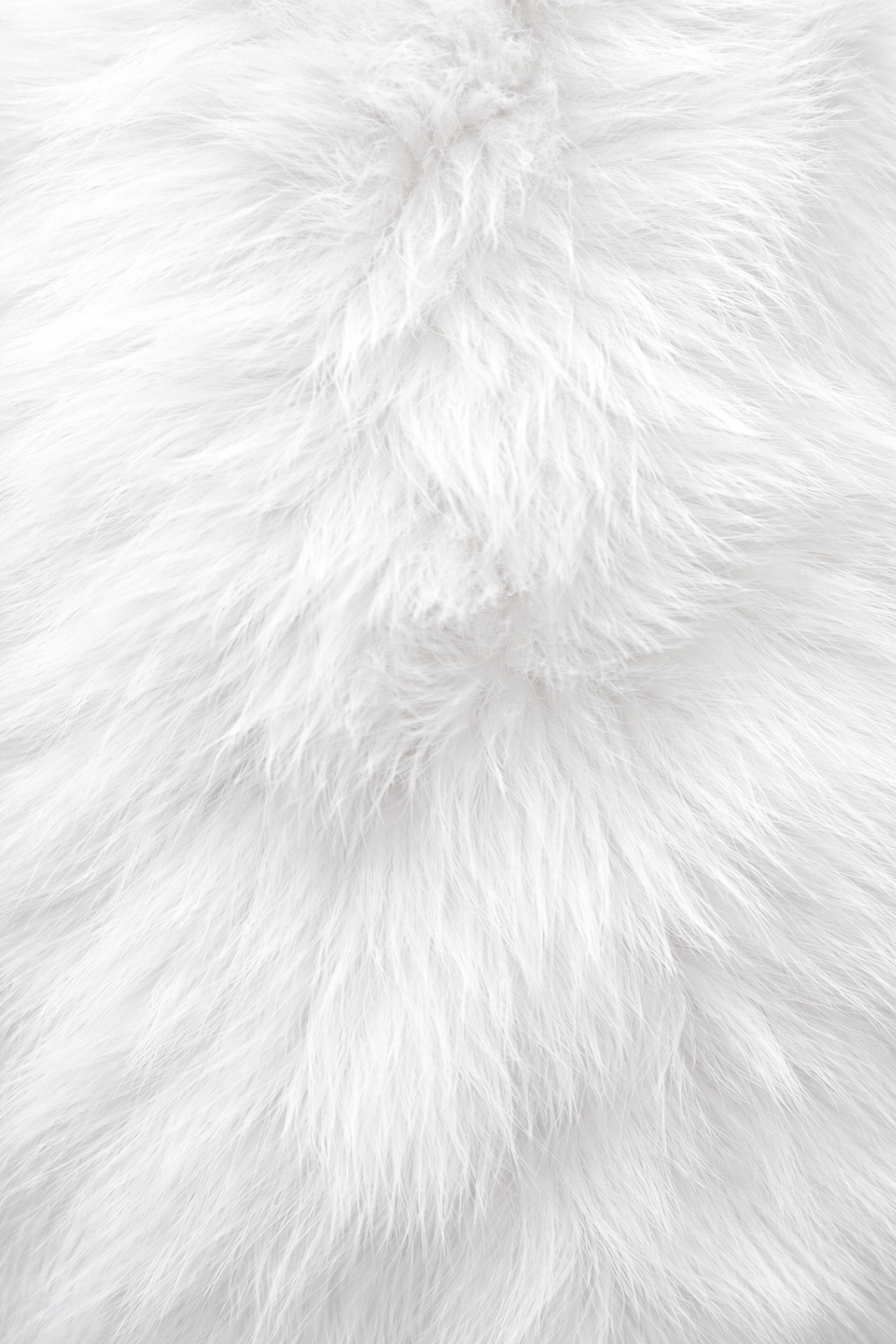WhiteFur